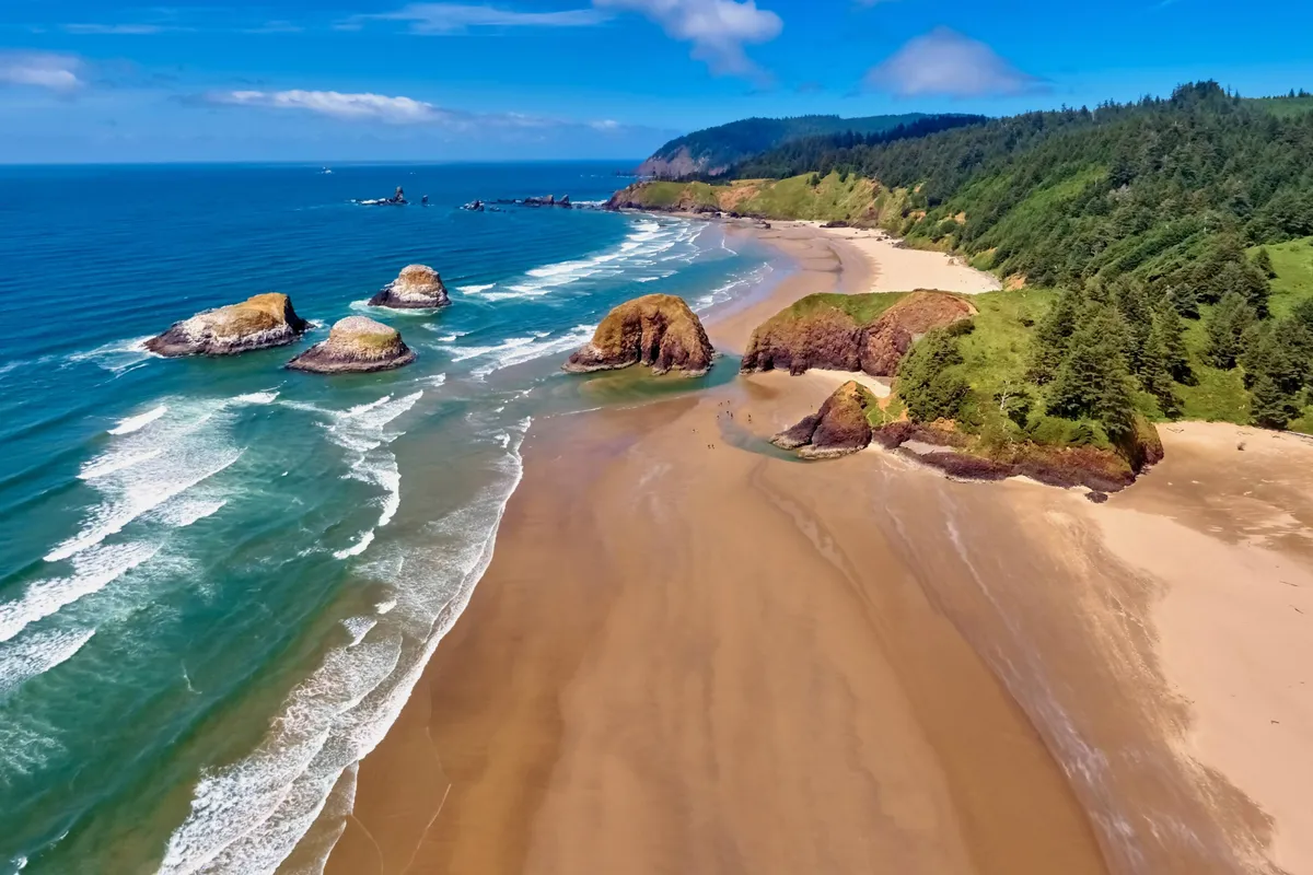 A wide-angle view of a sandy beach bordered by dramatic rock formations and ocean waves, with lush green hills in the background. The setting is alive with the possibility of exploration, pet-friendly walks, and enjoying the outdoors.